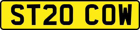 ST20COW