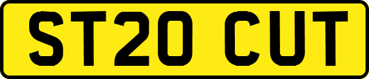ST20CUT
