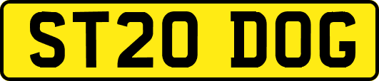 ST20DOG