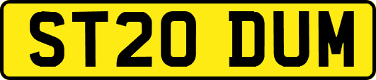 ST20DUM