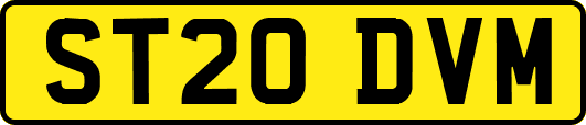 ST20DVM