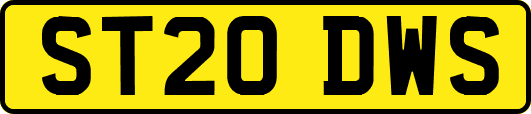 ST20DWS