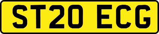 ST20ECG