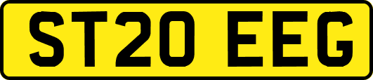 ST20EEG