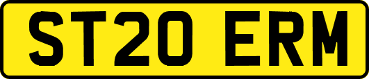 ST20ERM