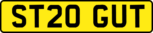 ST20GUT