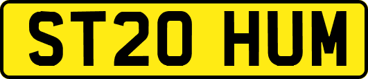ST20HUM