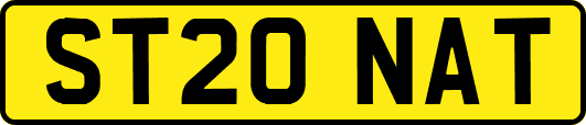 ST20NAT