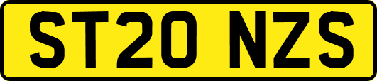 ST20NZS