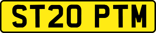 ST20PTM