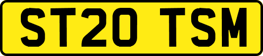 ST20TSM