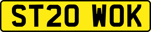 ST20WOK