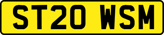 ST20WSM