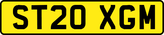 ST20XGM