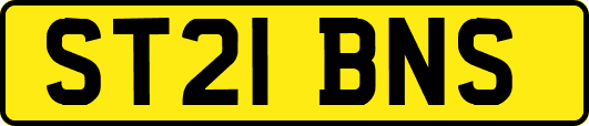 ST21BNS