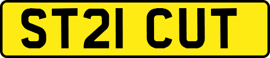ST21CUT
