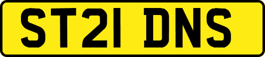 ST21DNS