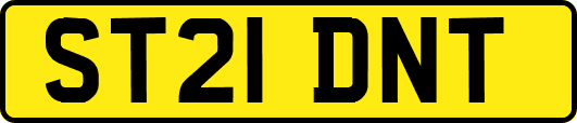 ST21DNT