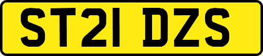ST21DZS