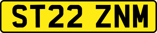 ST22ZNM