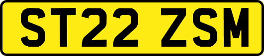 ST22ZSM