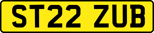 ST22ZUB