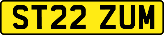 ST22ZUM