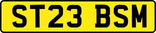 ST23BSM