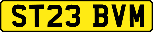 ST23BVM