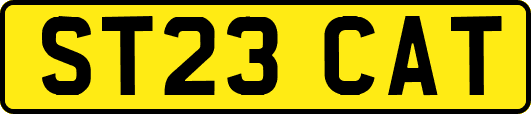 ST23CAT