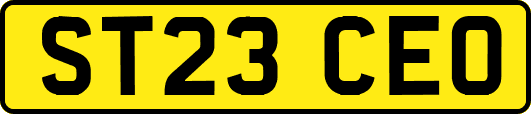ST23CEO