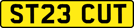 ST23CUT