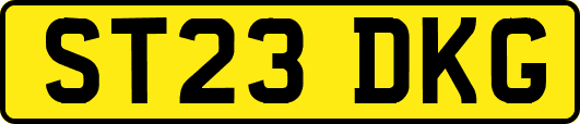 ST23DKG