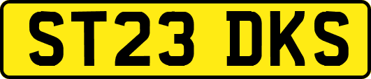 ST23DKS