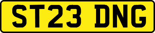 ST23DNG