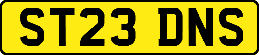 ST23DNS