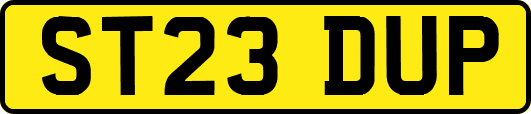 ST23DUP