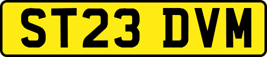 ST23DVM