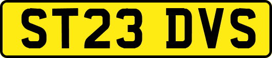 ST23DVS