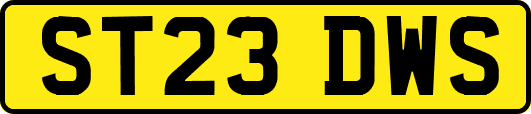 ST23DWS