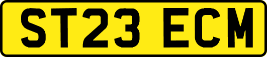 ST23ECM