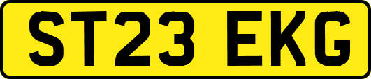 ST23EKG