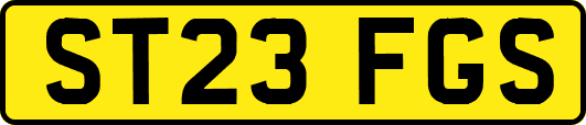 ST23FGS