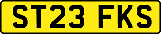 ST23FKS