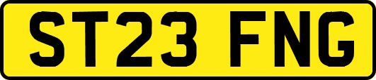 ST23FNG