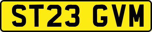 ST23GVM