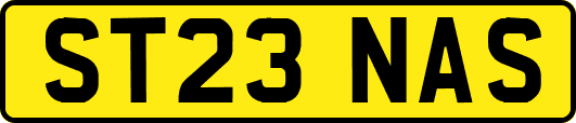 ST23NAS