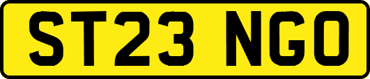 ST23NGO