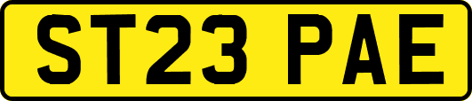 ST23PAE