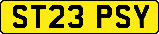 ST23PSY
